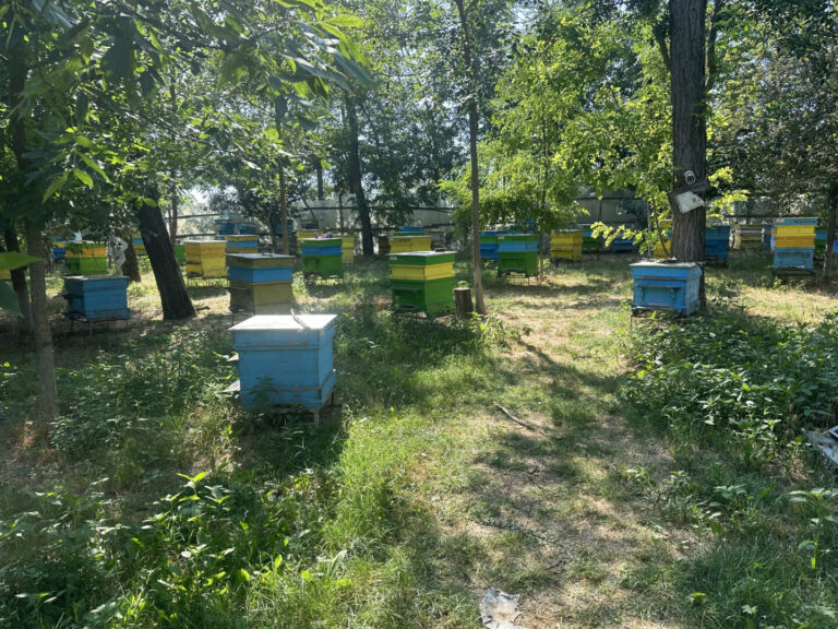 Изисквания за сертифициране на мед